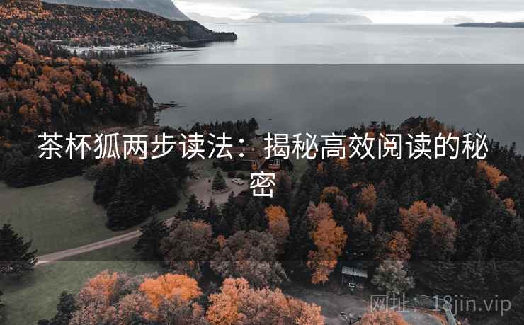 茶杯狐两步读法：揭秘高效阅读的秘密